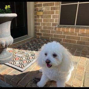 Meet your Posher, Angela